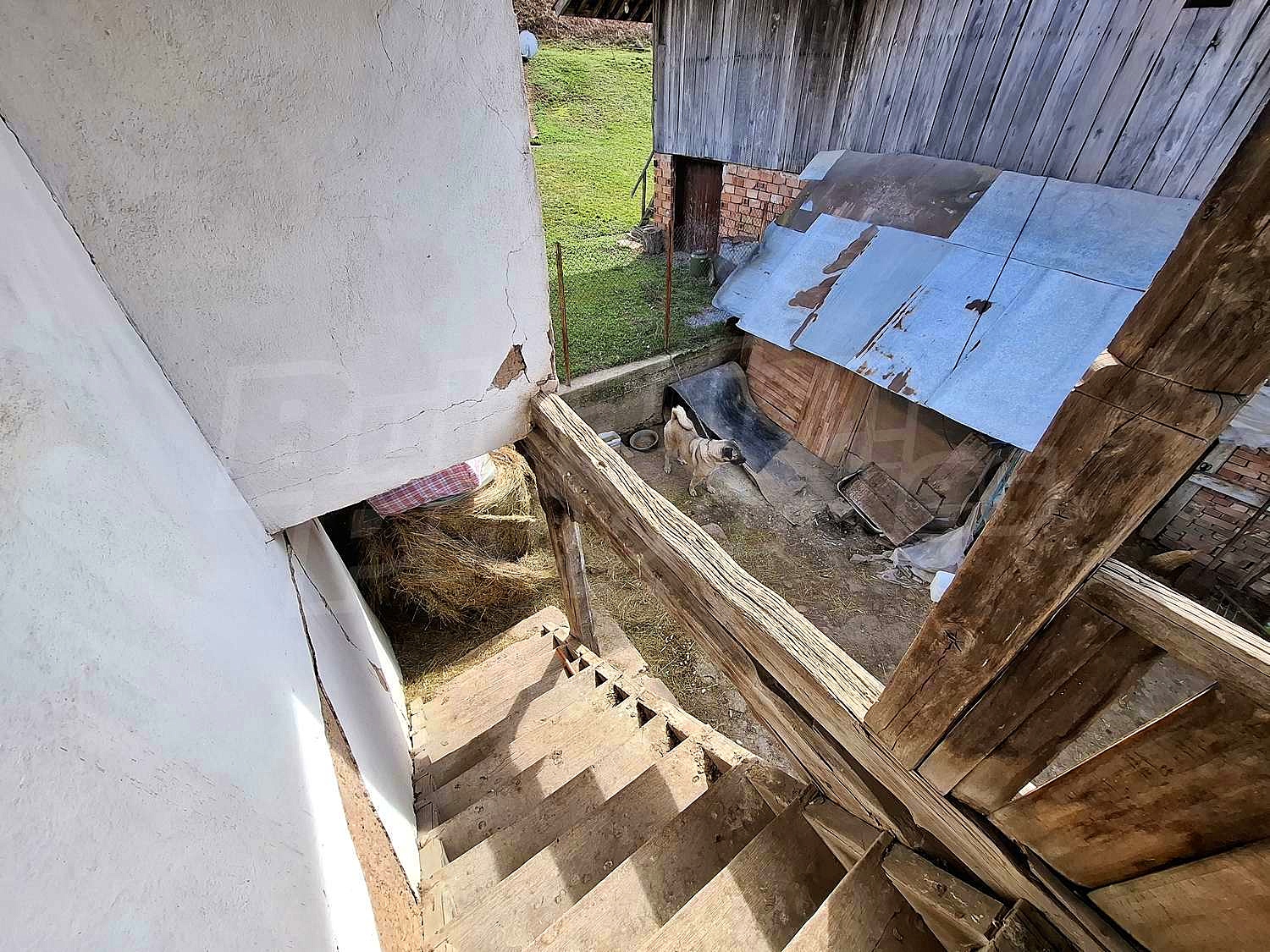Gallery Picture 12