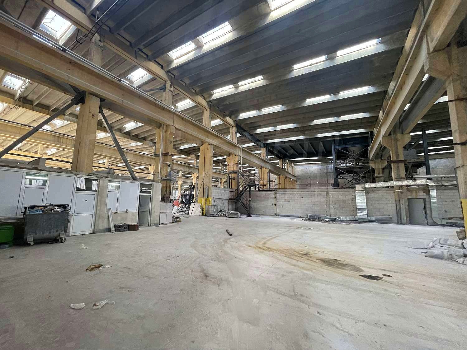Gallery Picture 36