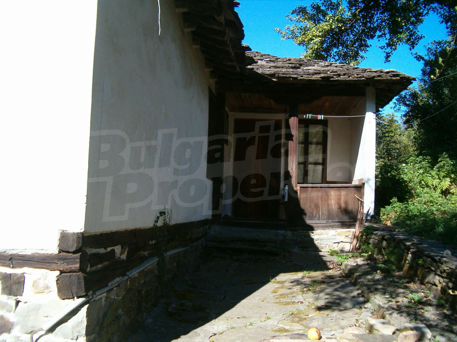 Gallery Picture 11