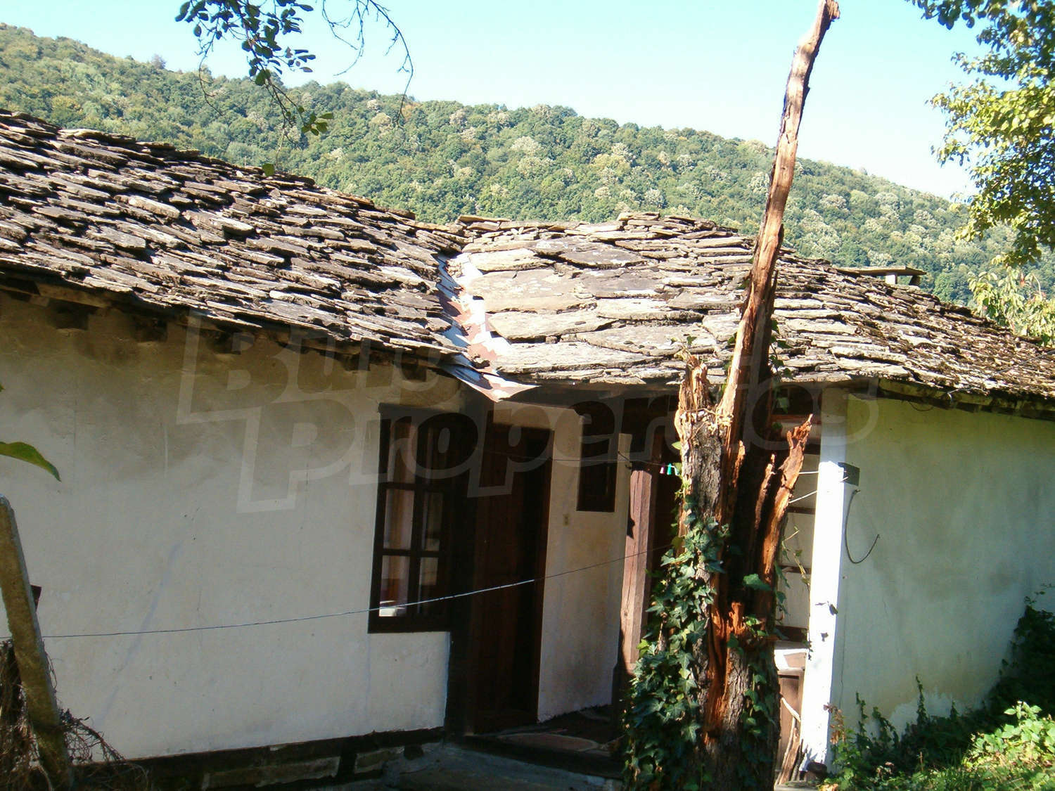 Gallery Picture 12
