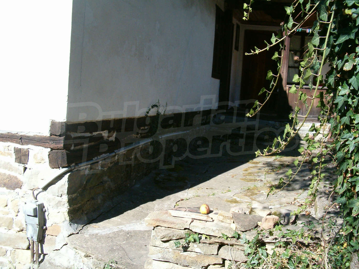 Gallery Picture 13