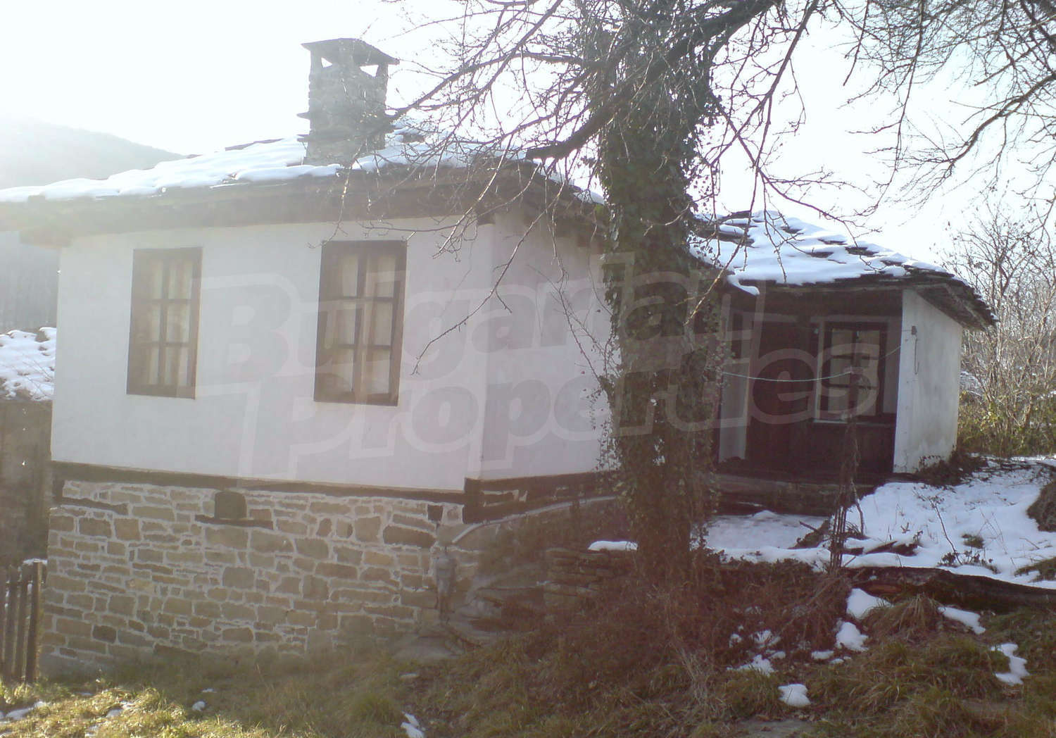Gallery Picture 7