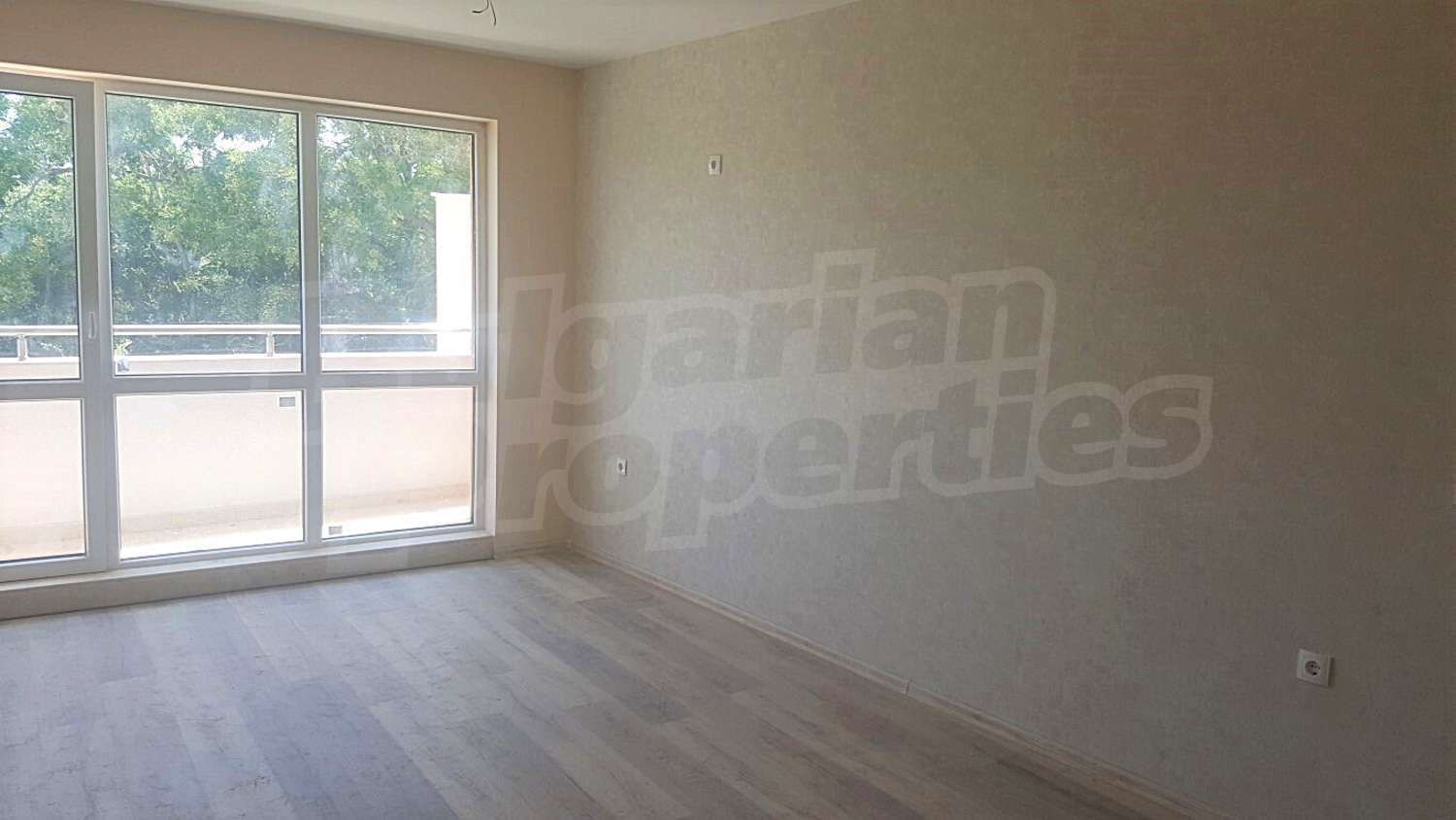 Gallery Picture 6