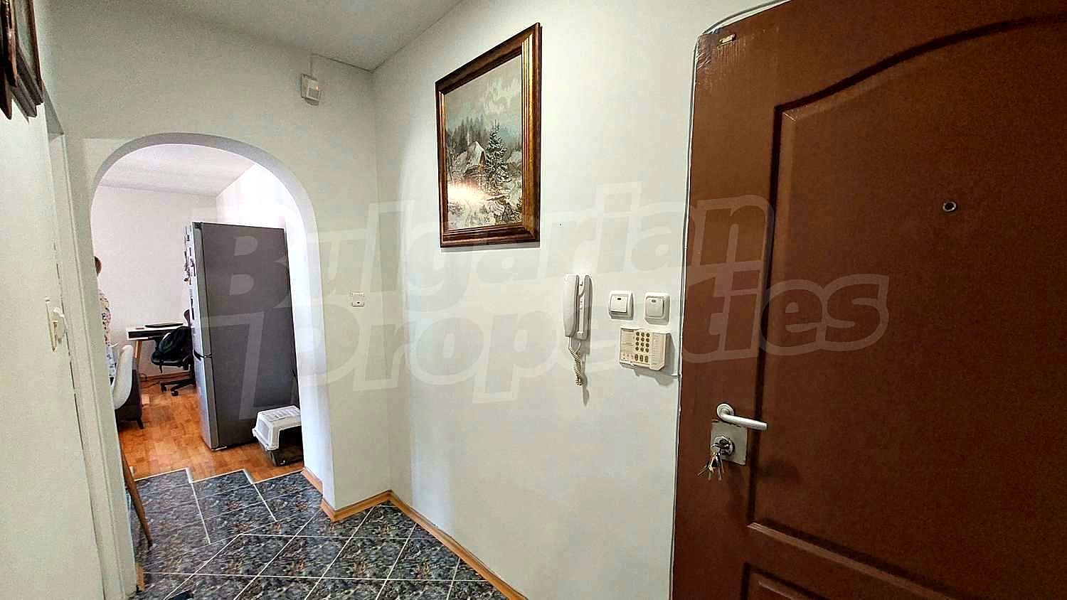 Gallery Picture 31