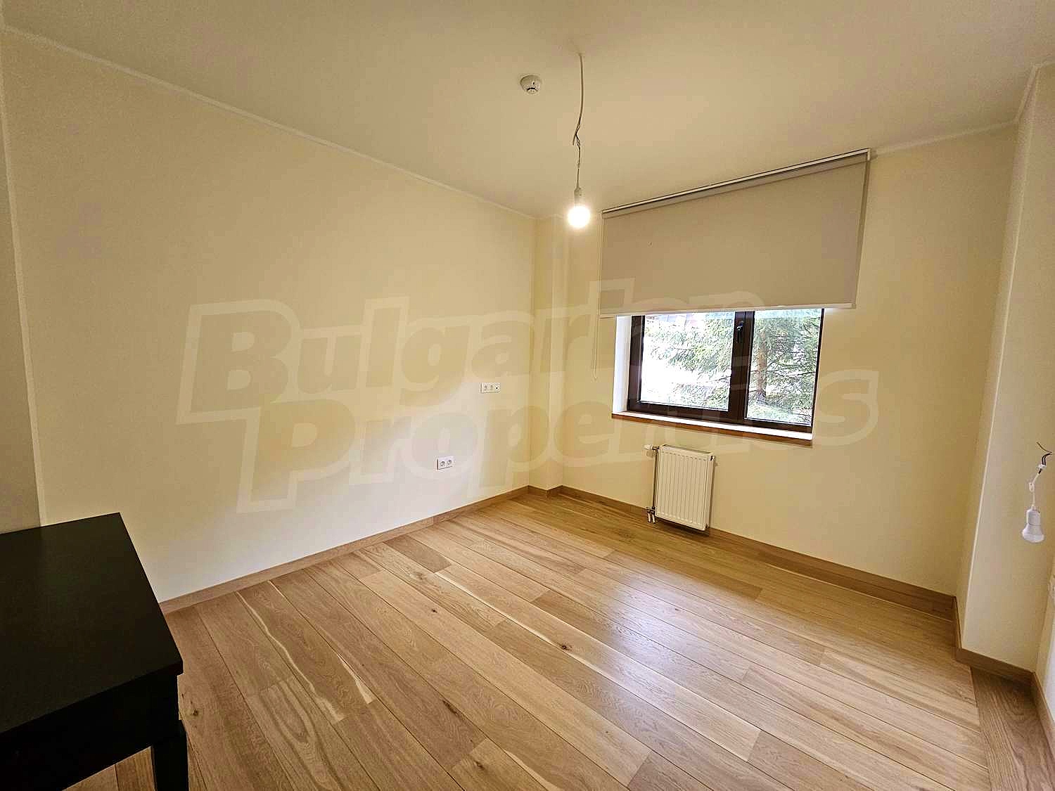 Gallery Picture 29