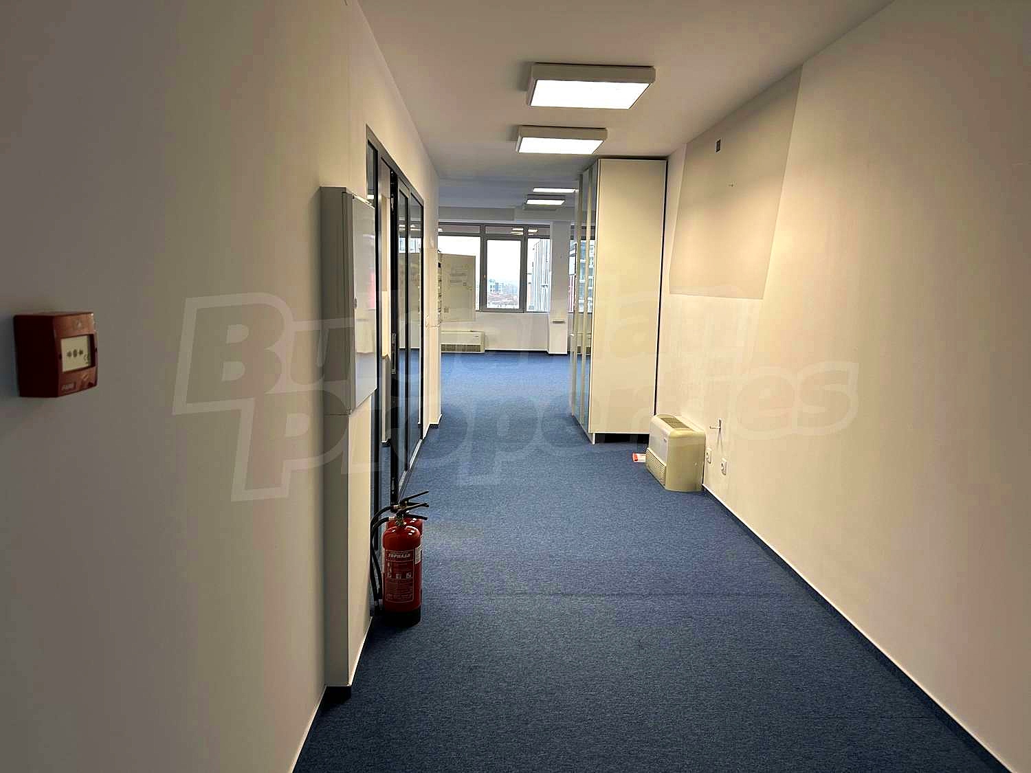 Gallery Picture 15