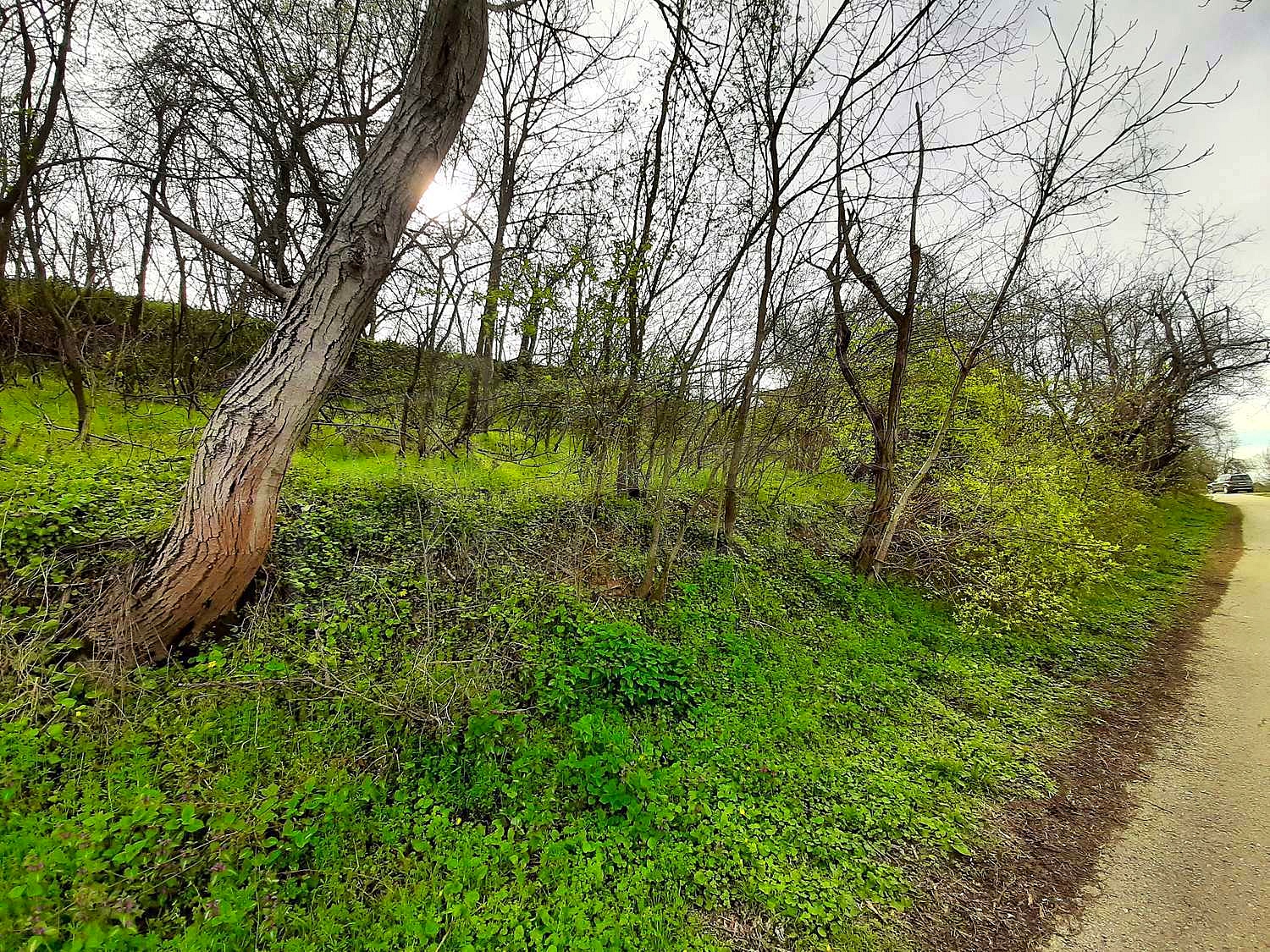 Gallery Picture 6