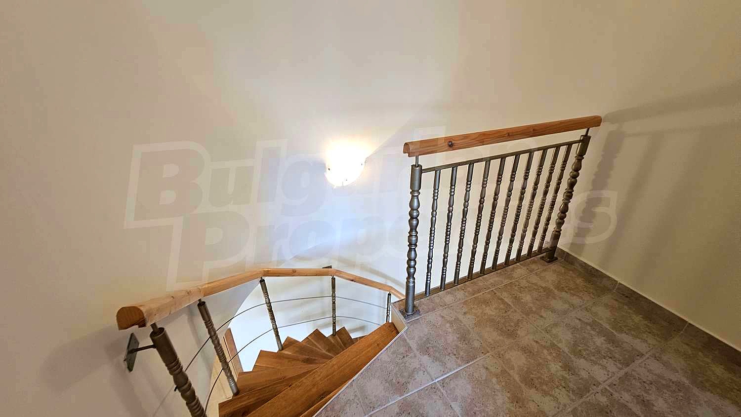 Gallery Picture 19