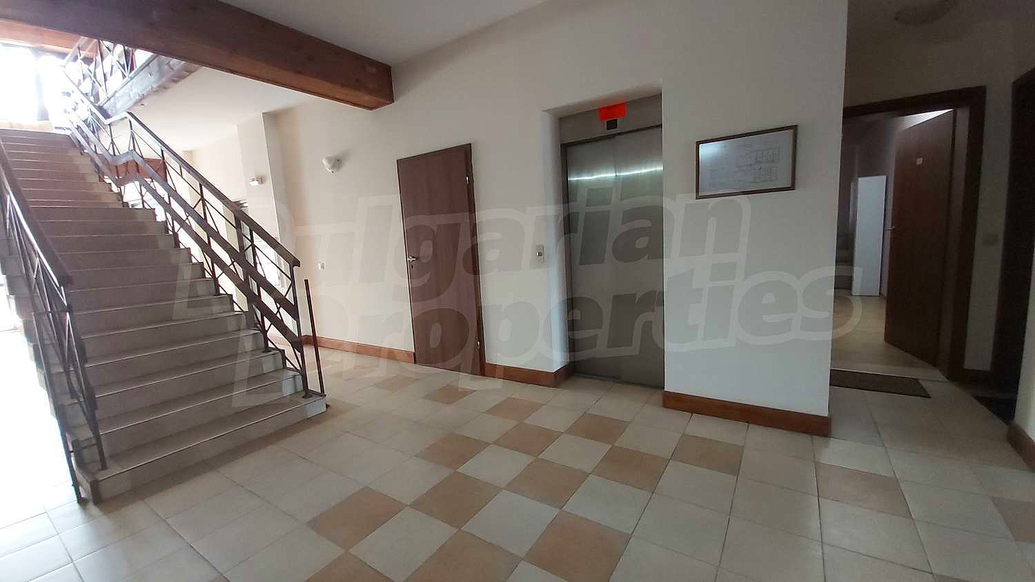 Gallery Picture 14