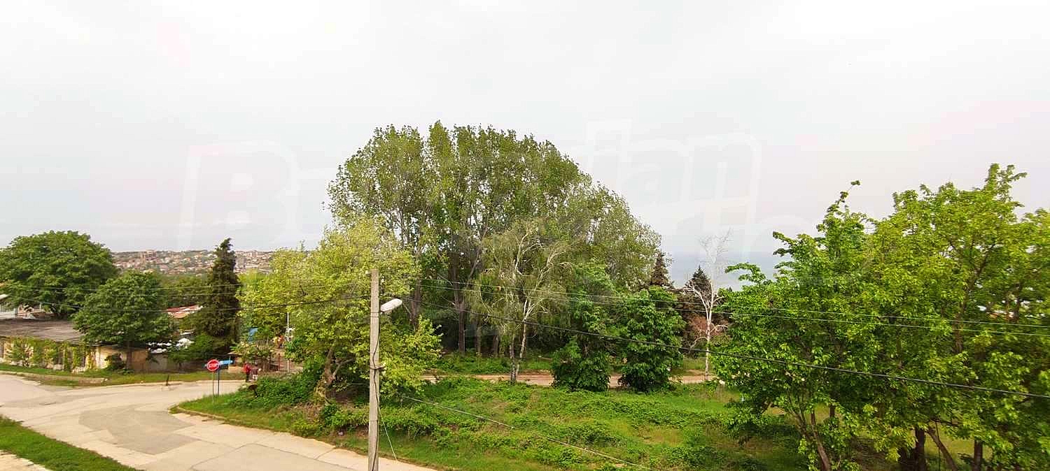 Gallery Picture 11