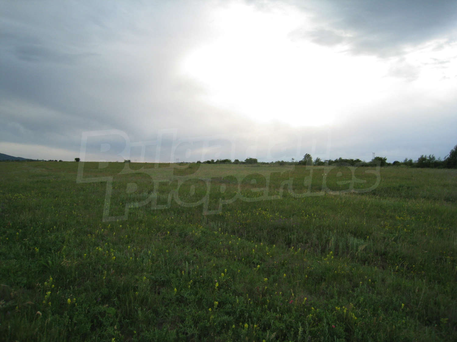 Gallery Picture 7