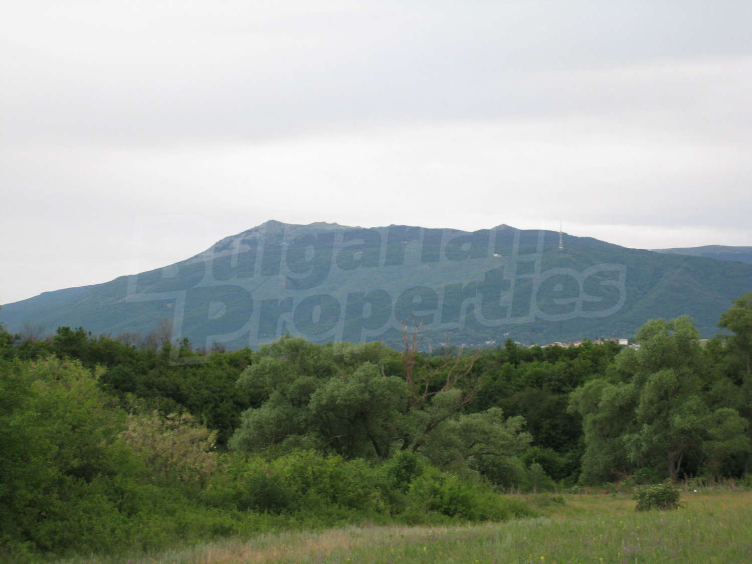 Gallery Picture 9