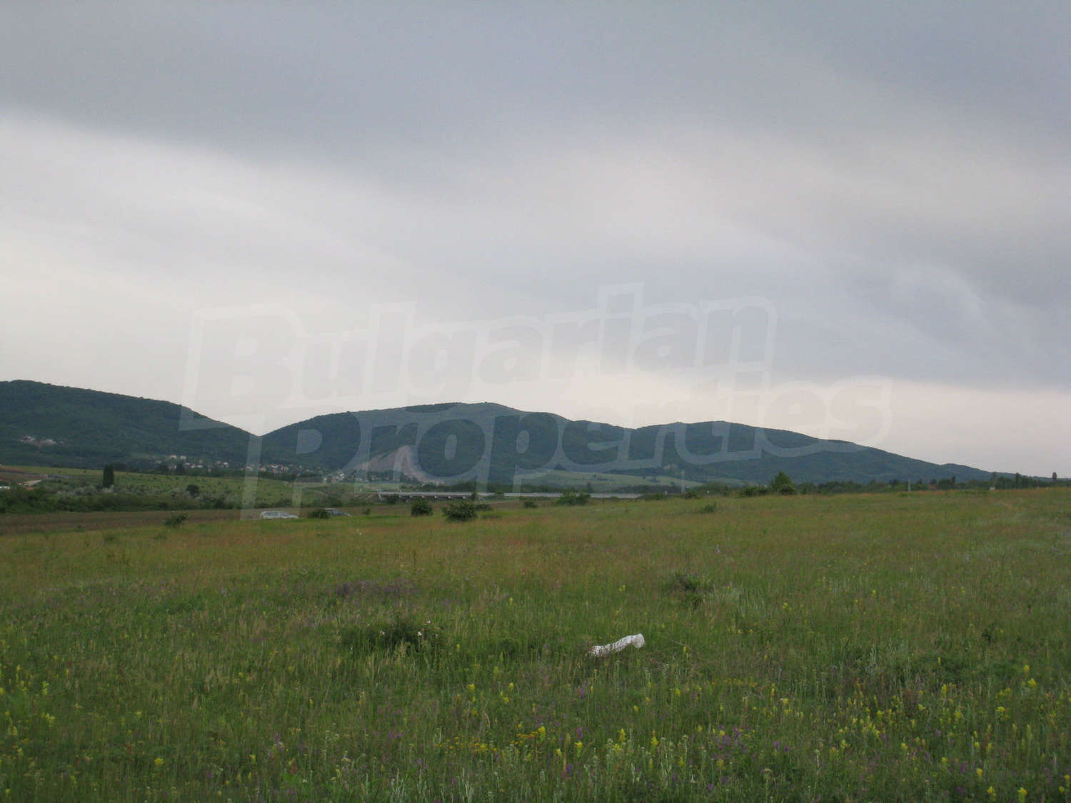 Gallery Picture 11