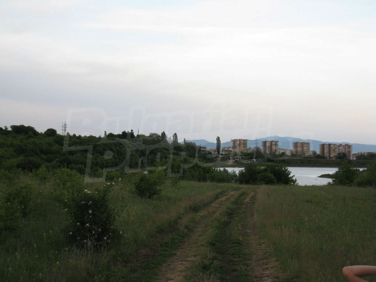 Gallery Picture 13