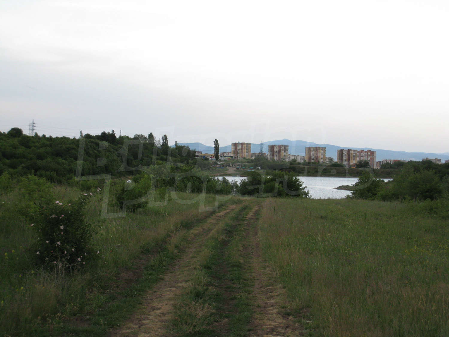 Gallery Picture 14