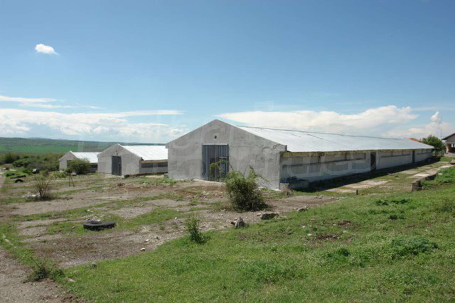 Gallery Picture 16