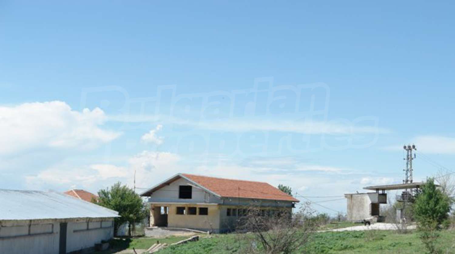 Gallery Picture 19