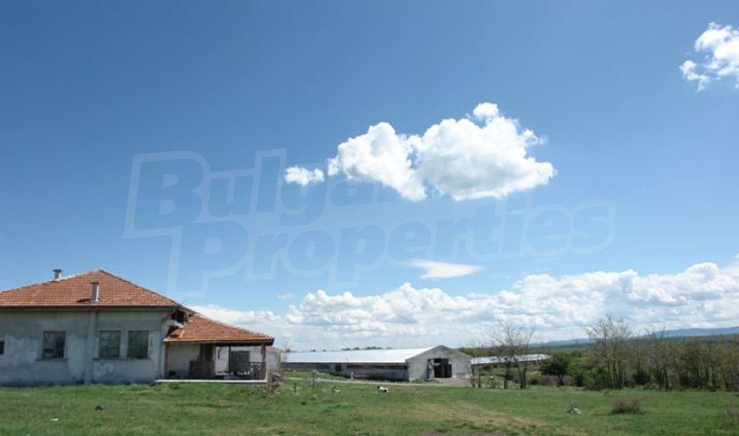 Gallery Picture 8
