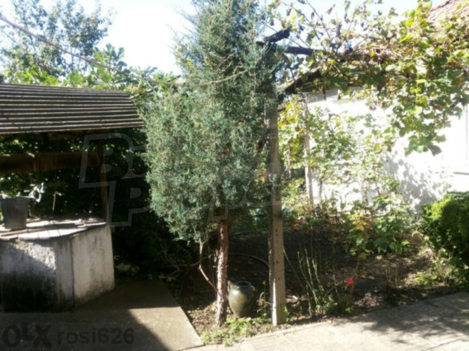 Gallery Picture 8