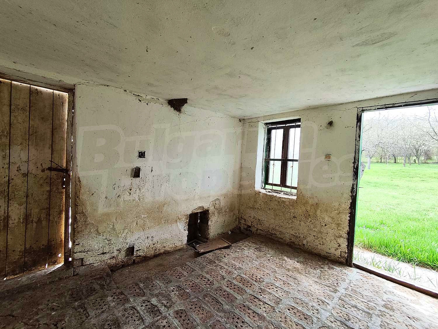 Gallery Picture 19