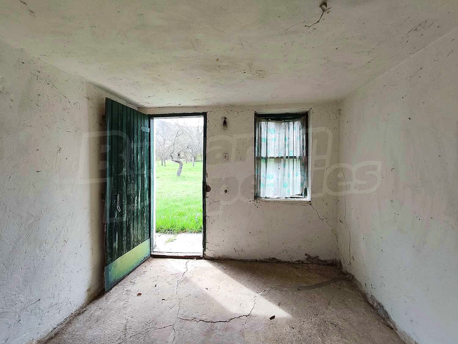 Gallery Picture 7