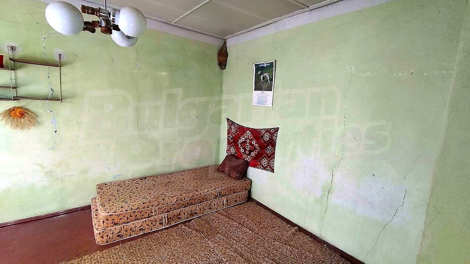Gallery Picture 7
