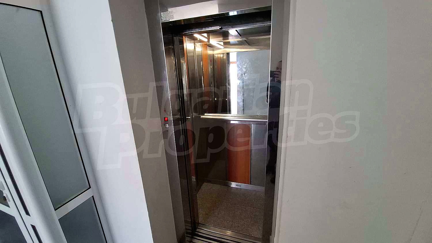 Gallery Picture 17