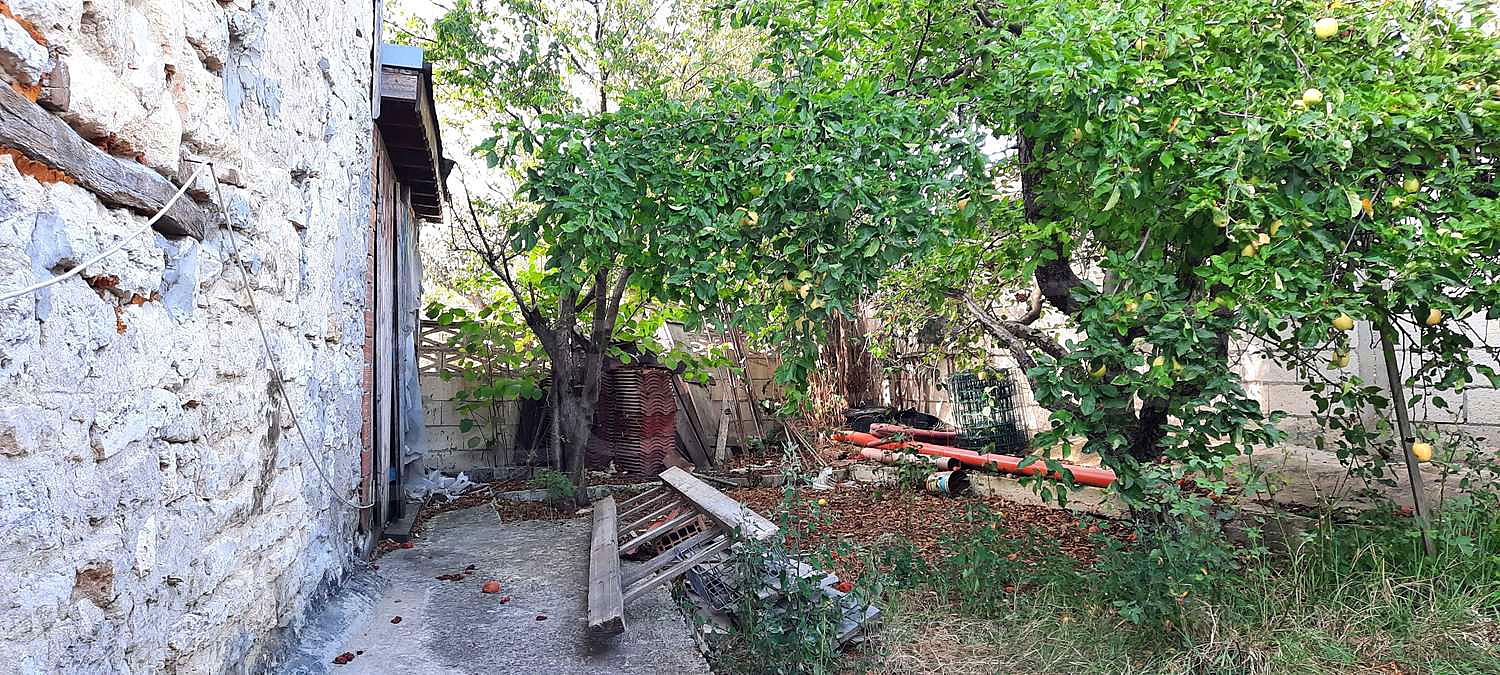 Gallery Picture 7