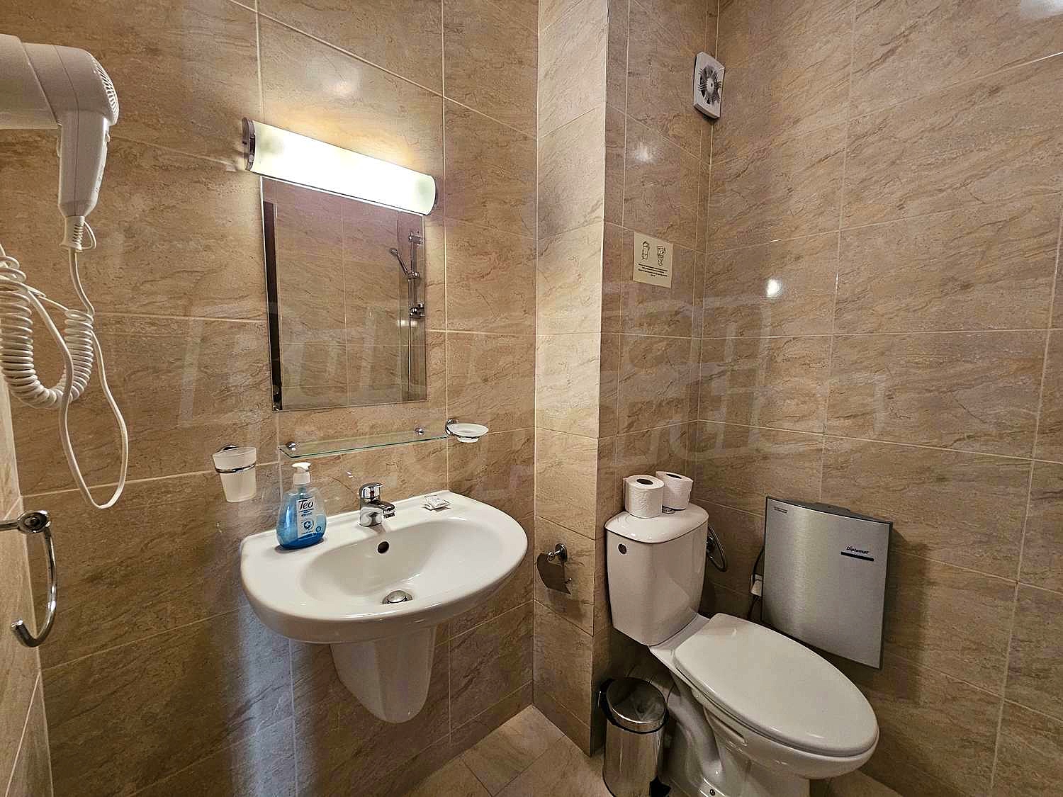 Gallery Picture 16