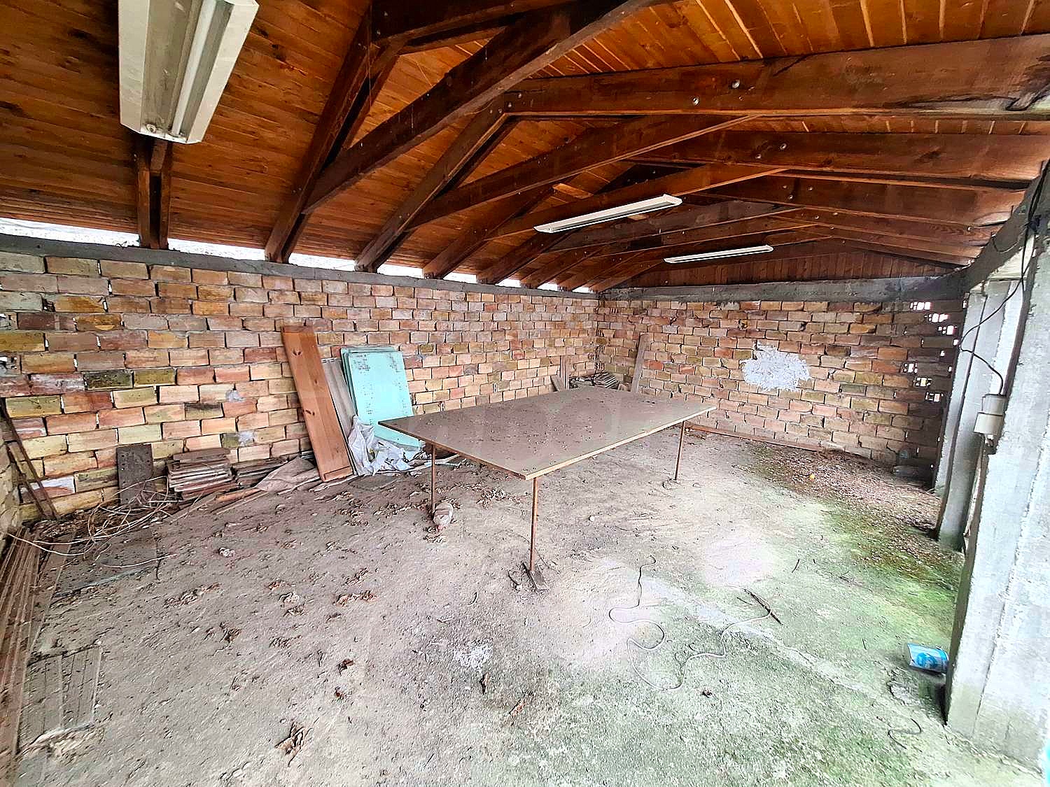 Gallery Picture 19
