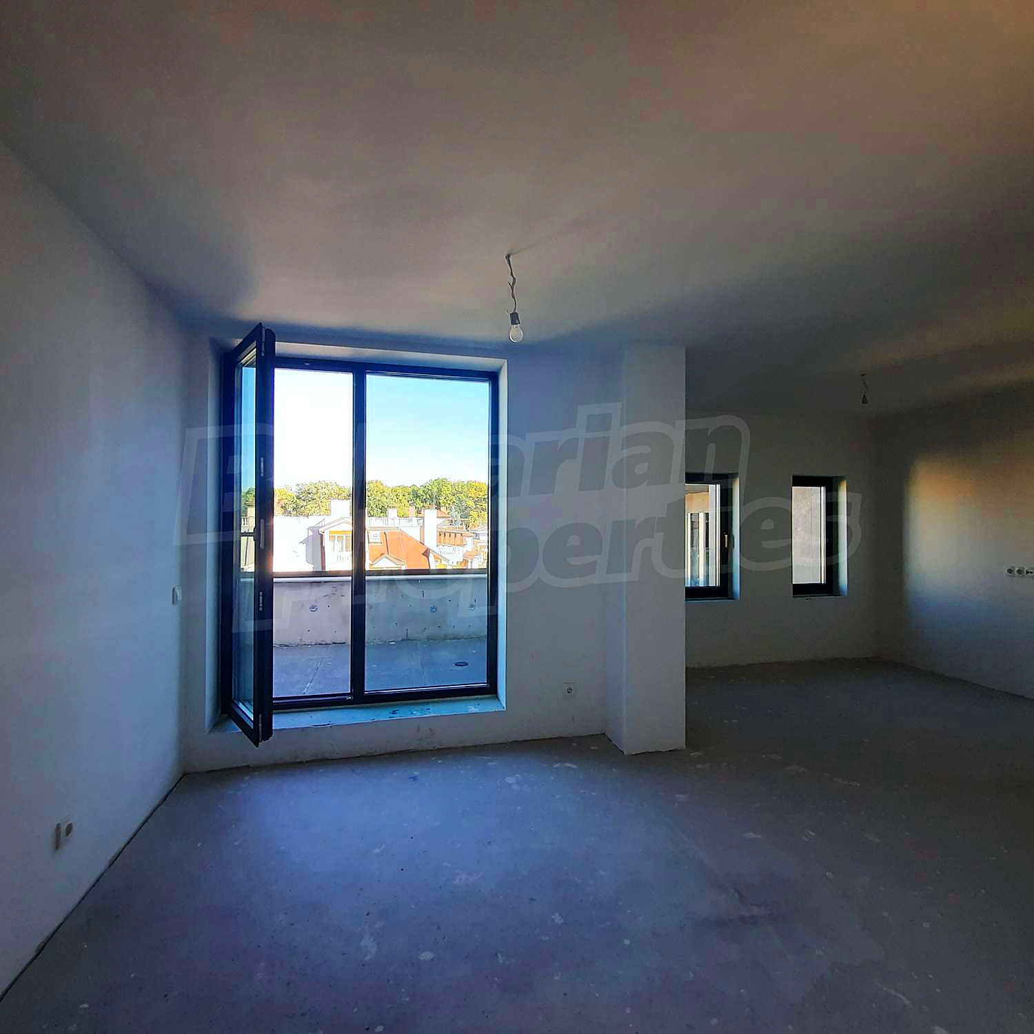Gallery Picture 11