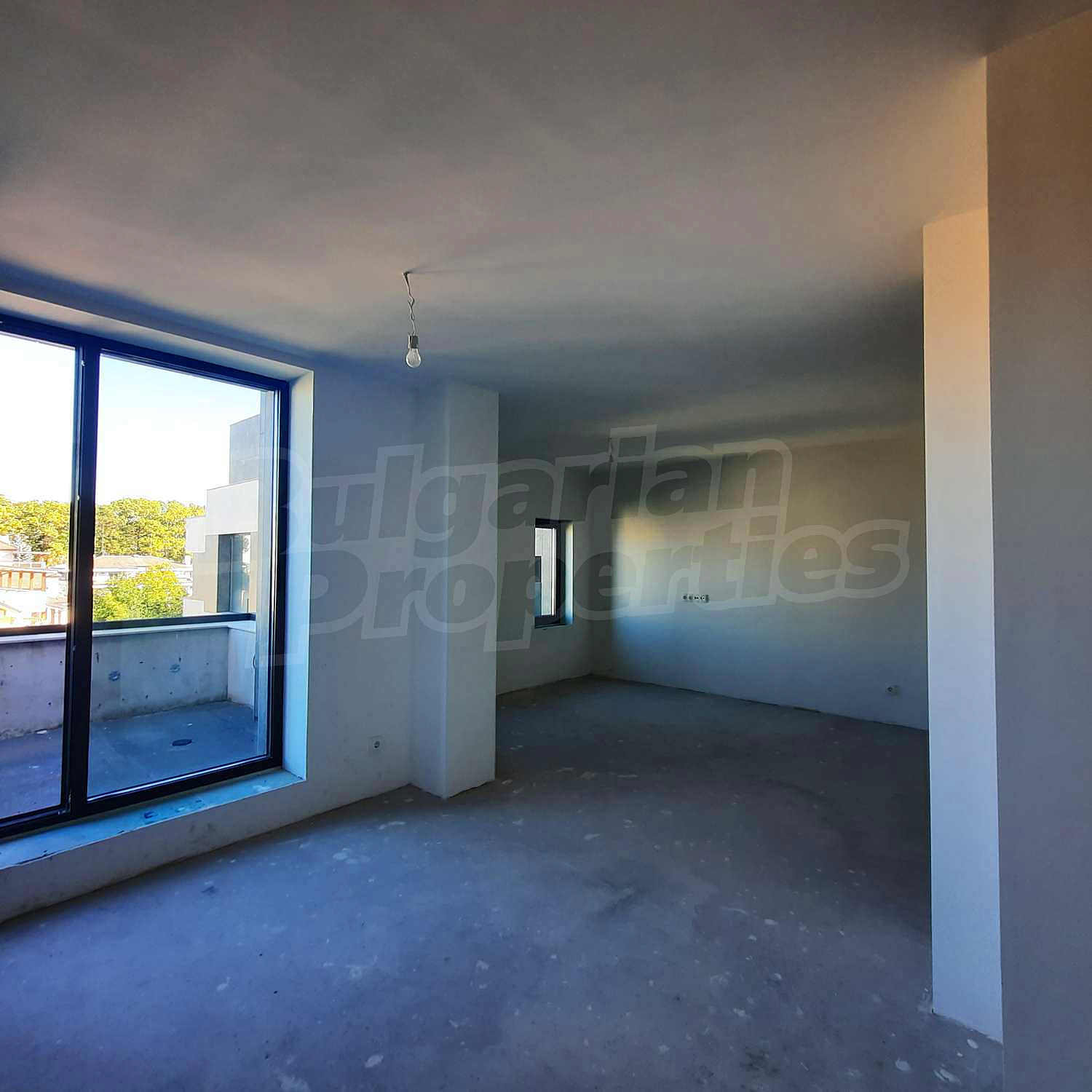 Gallery Picture 12