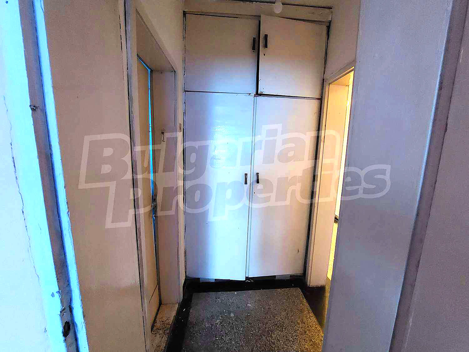 Gallery Picture 12