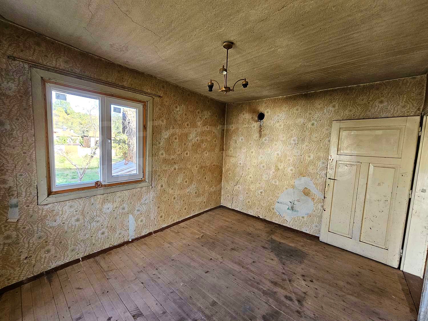Gallery Picture 10