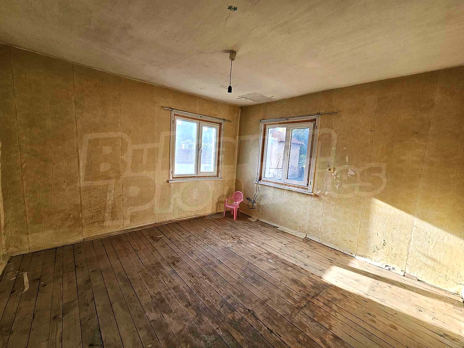Gallery Picture 11