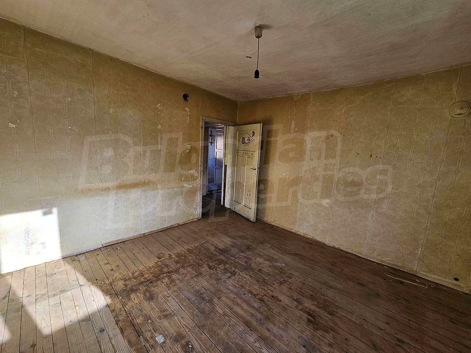 Gallery Picture 13