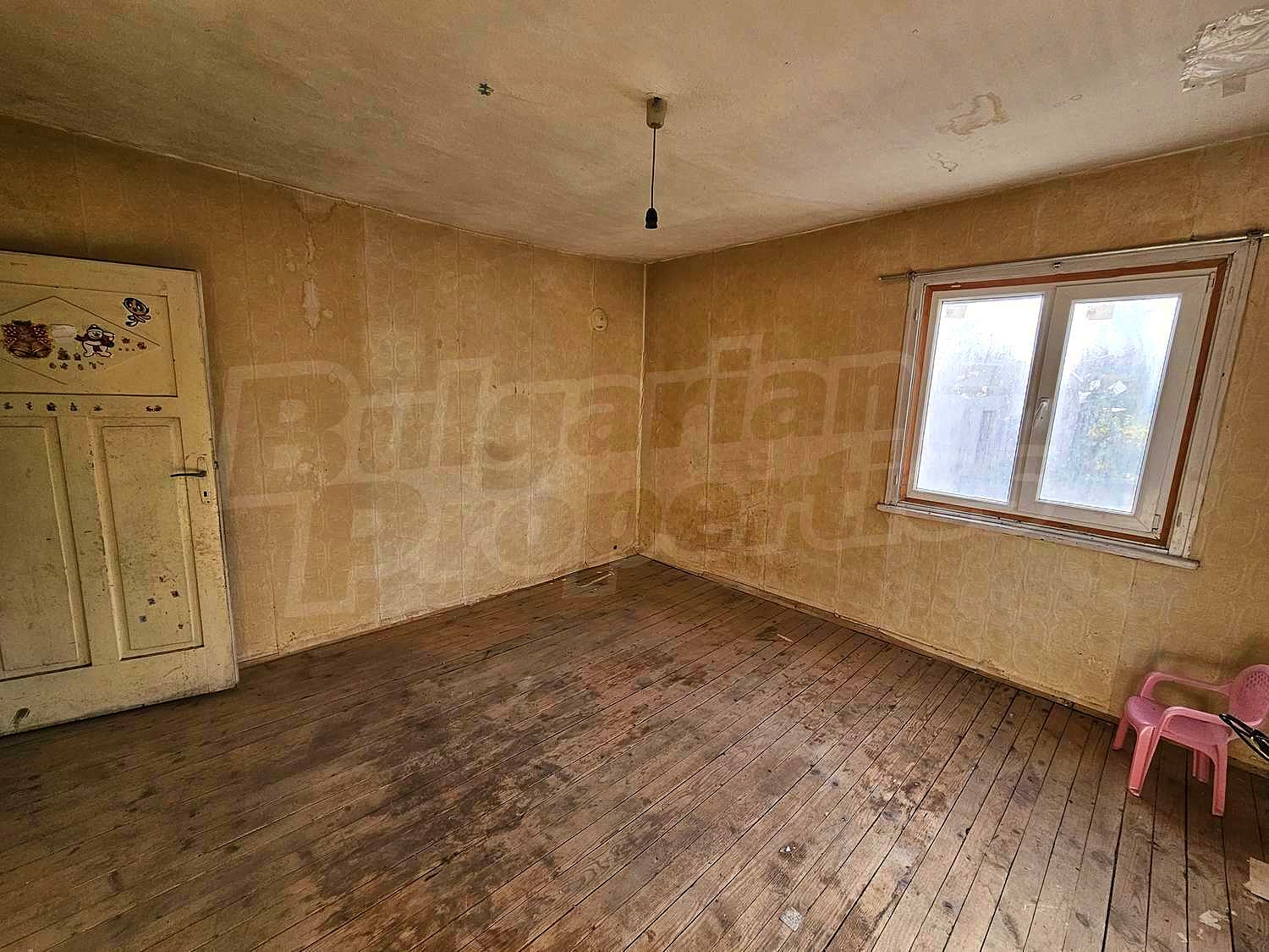 Gallery Picture 14