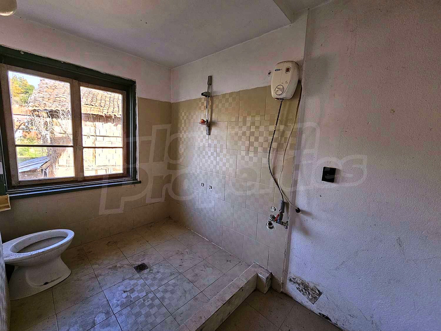 Gallery Picture 19