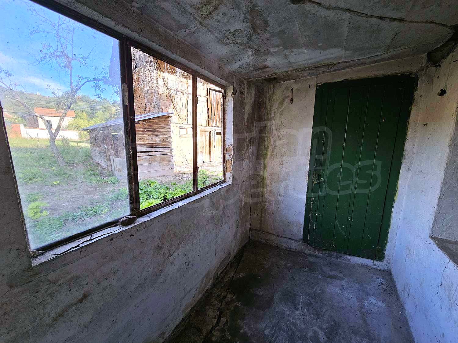 Gallery Picture 29