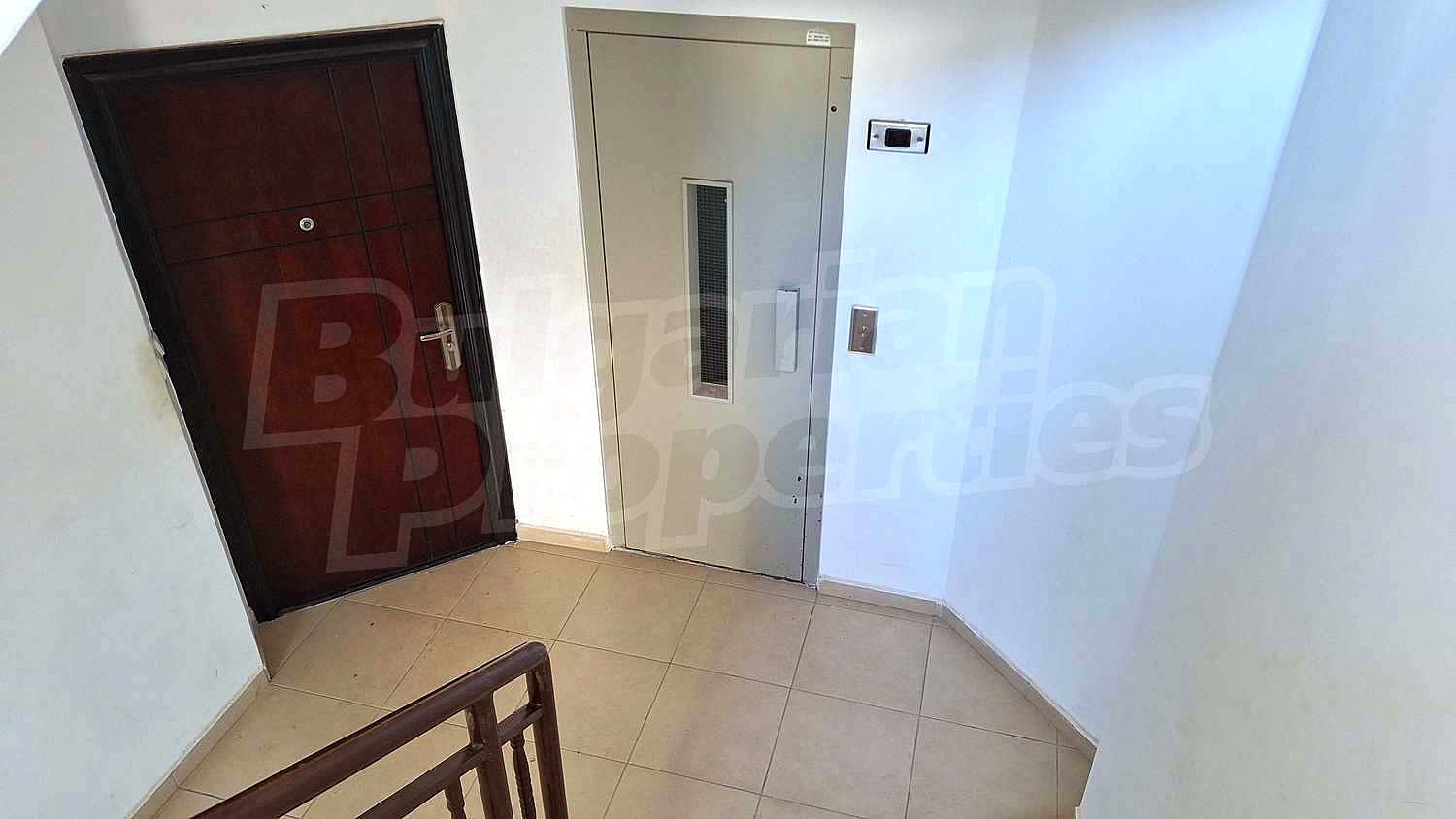Gallery Picture 17