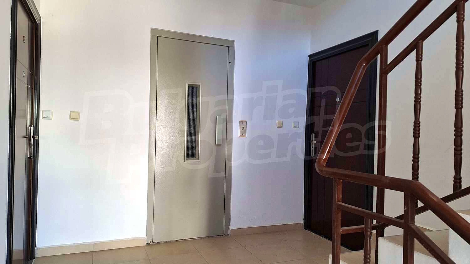Gallery Picture 19