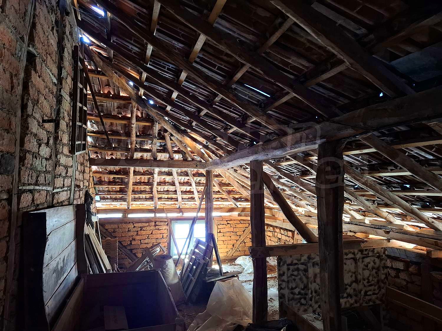 Gallery Picture 17