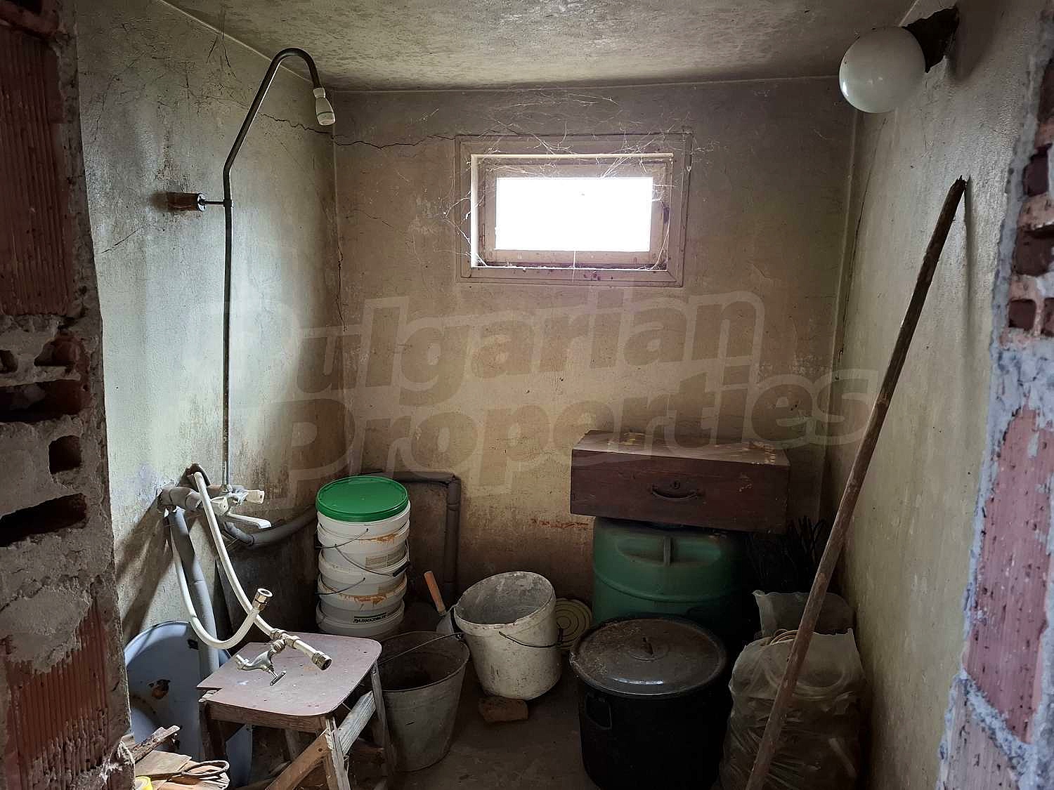 Gallery Picture 13