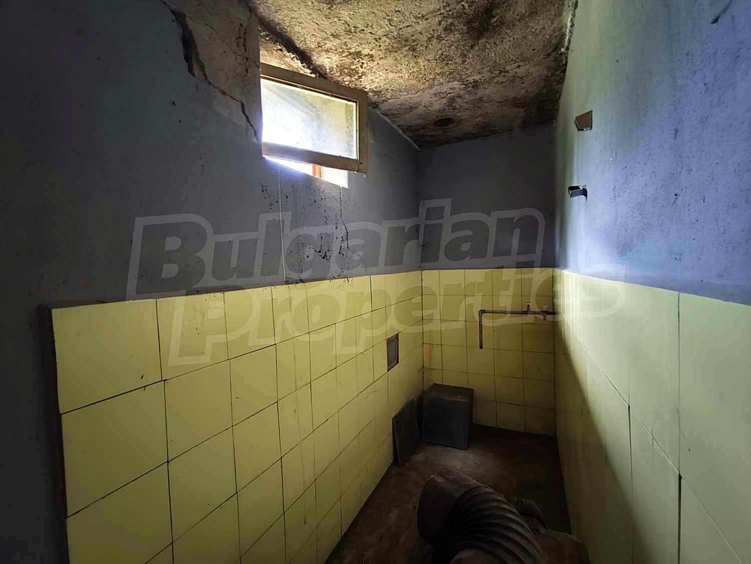 Gallery Picture 19
