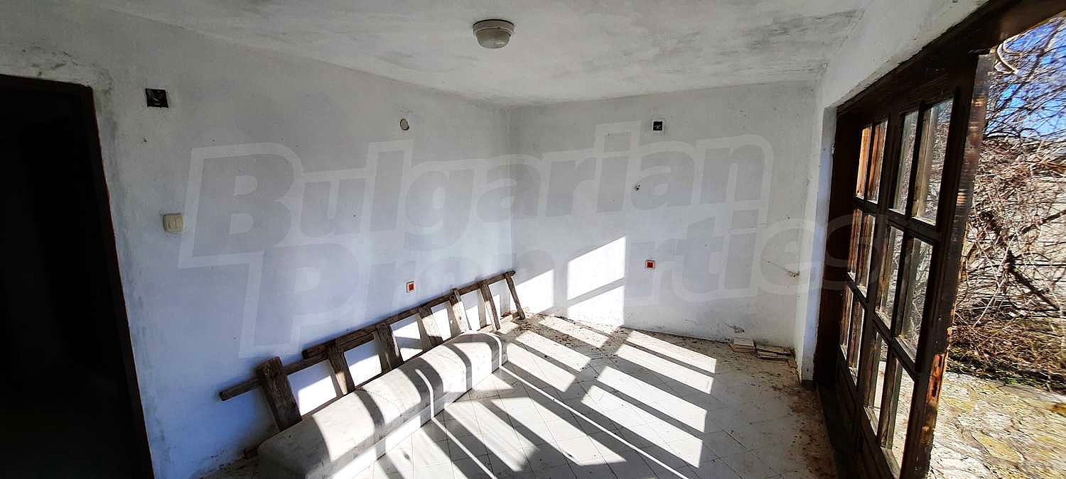 Gallery Picture 7