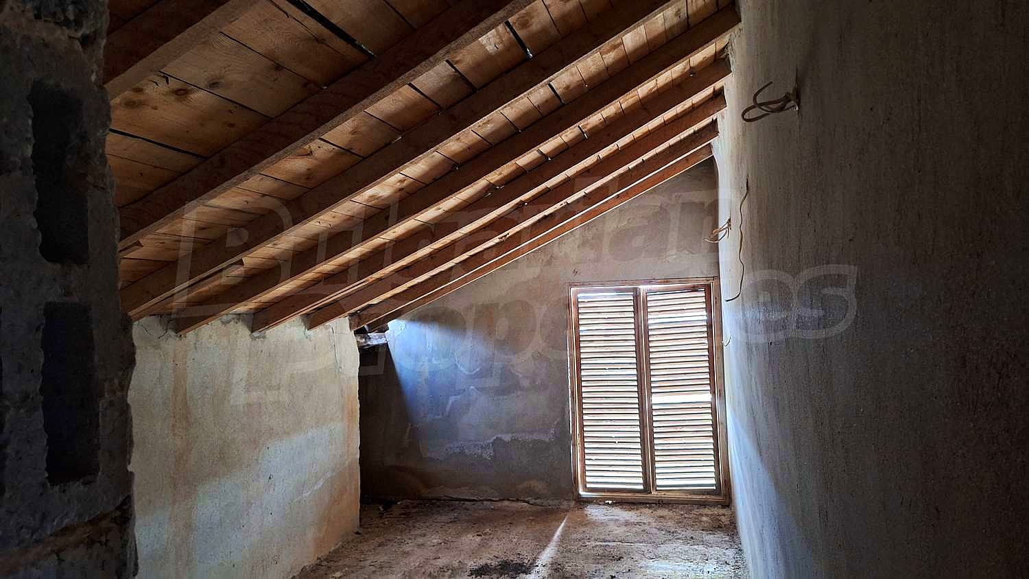 Gallery Picture 27