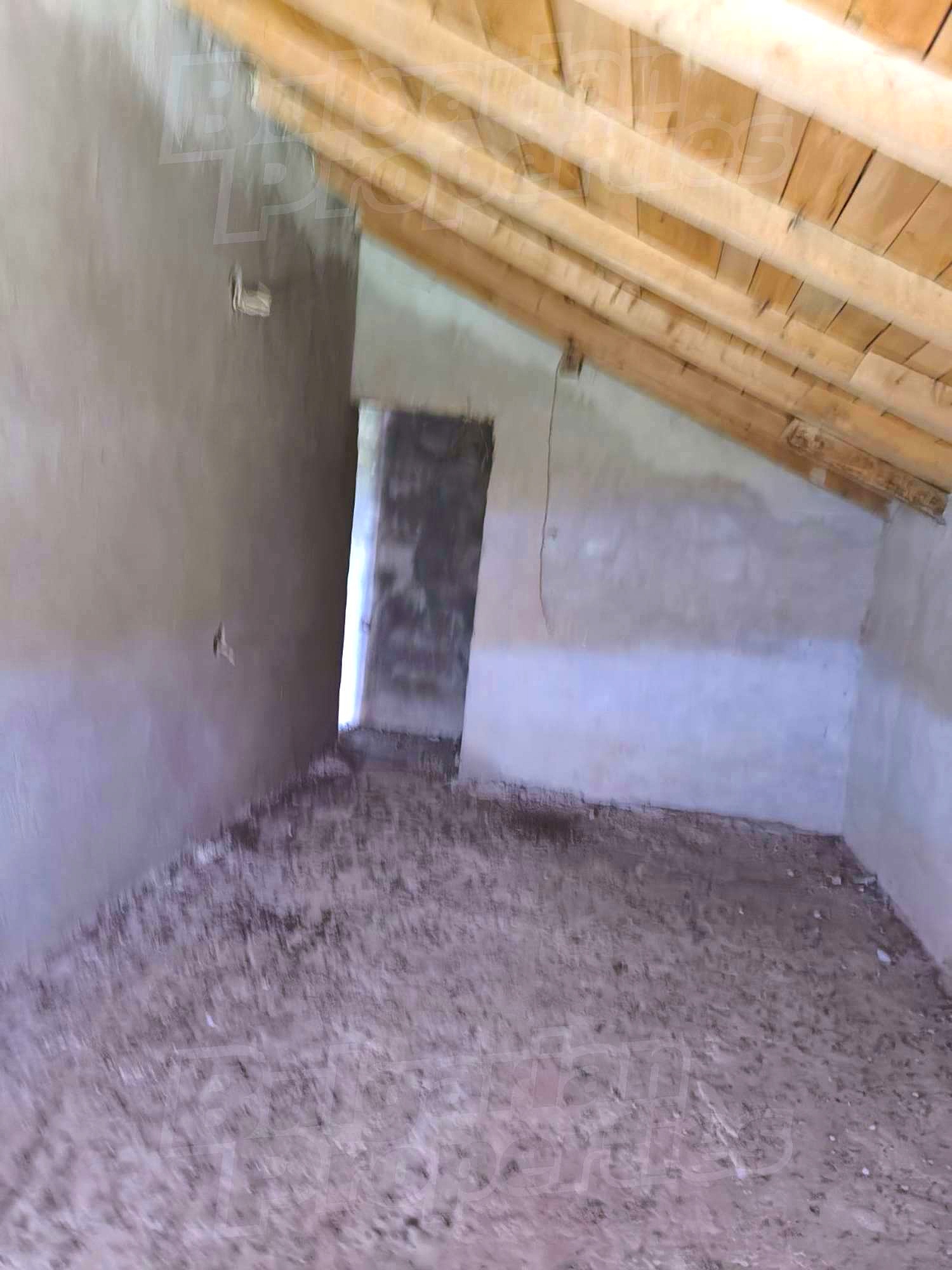 Gallery Picture 36