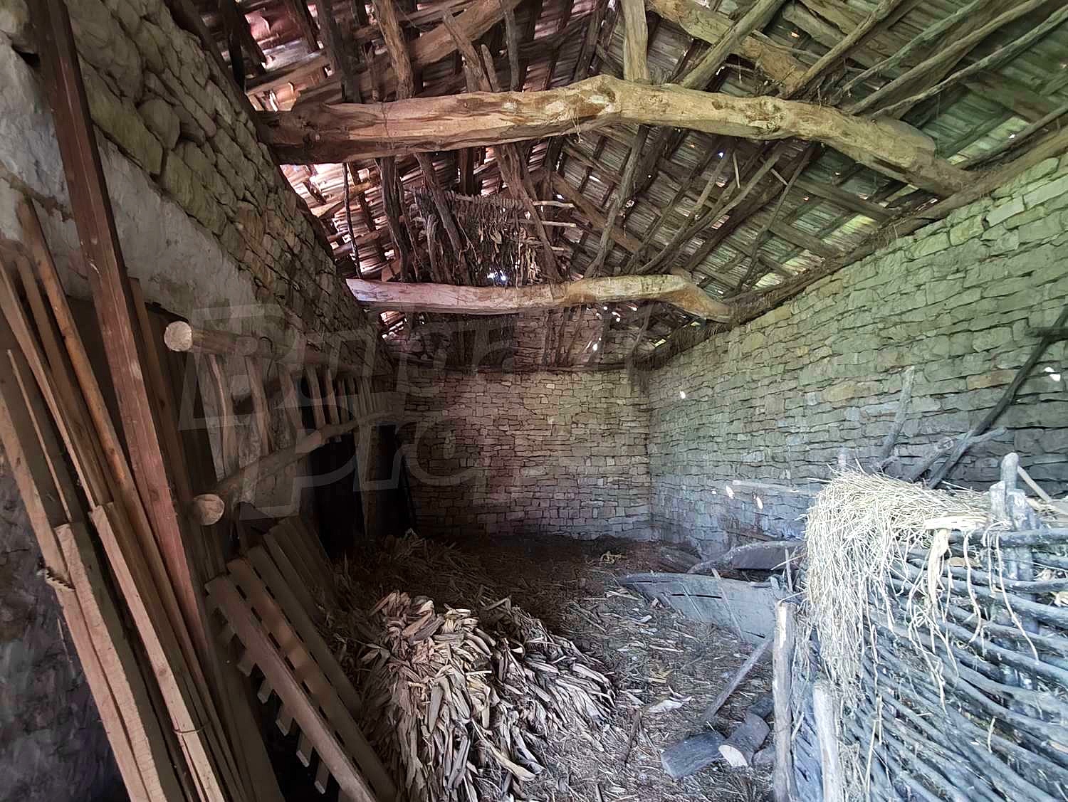 Gallery Picture 24