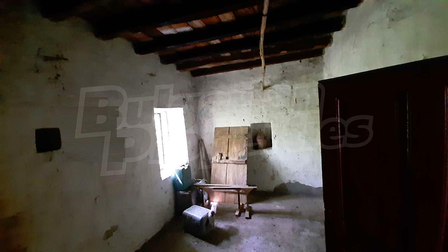 Gallery Picture 11