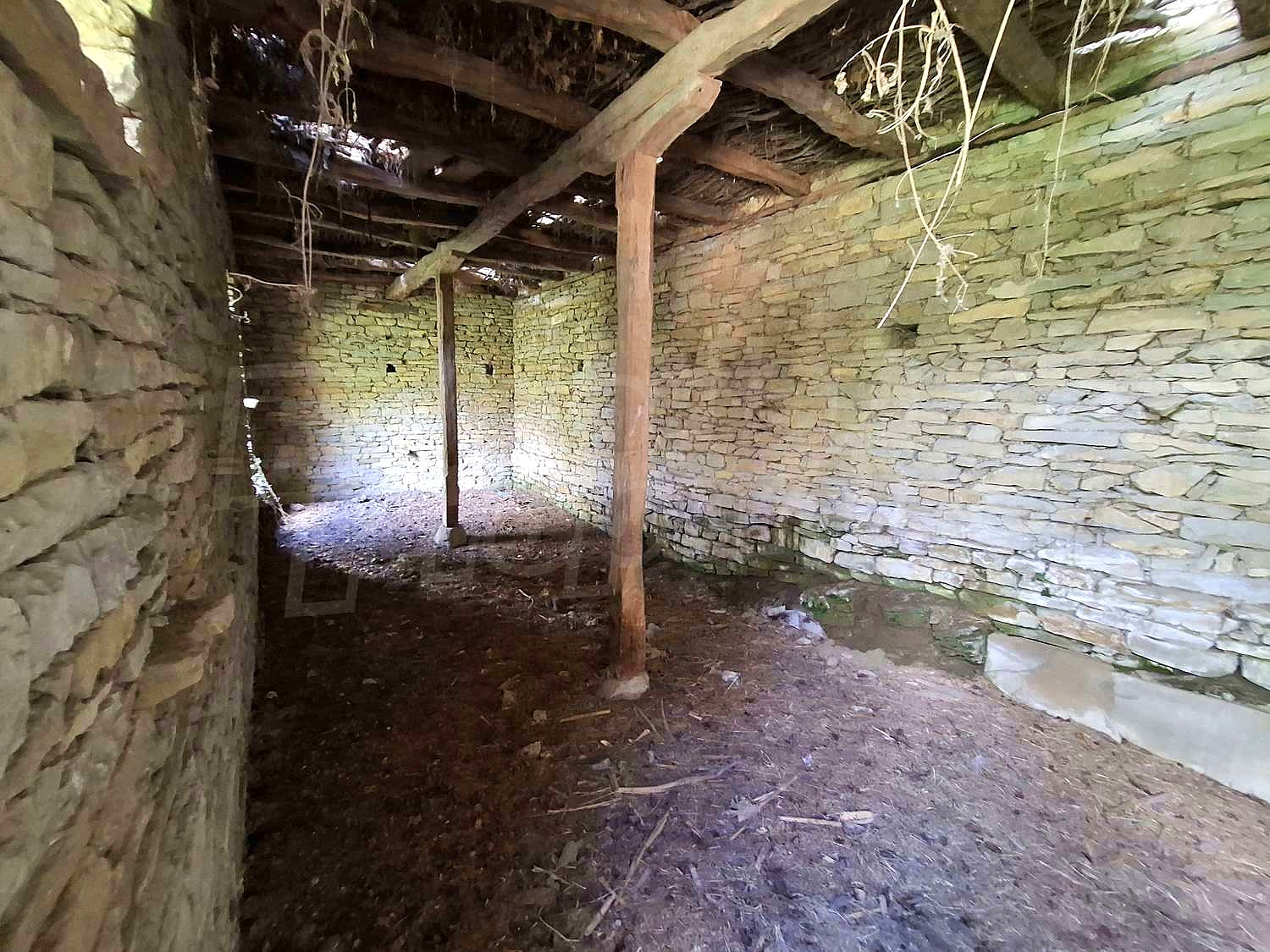 Gallery Picture 4